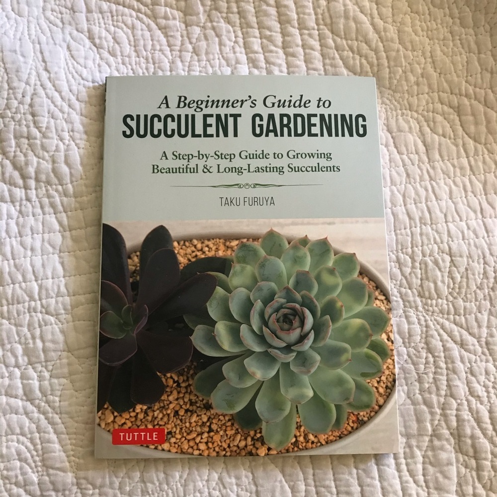 “A Beginner’s Guide to Succulent Gardening”
